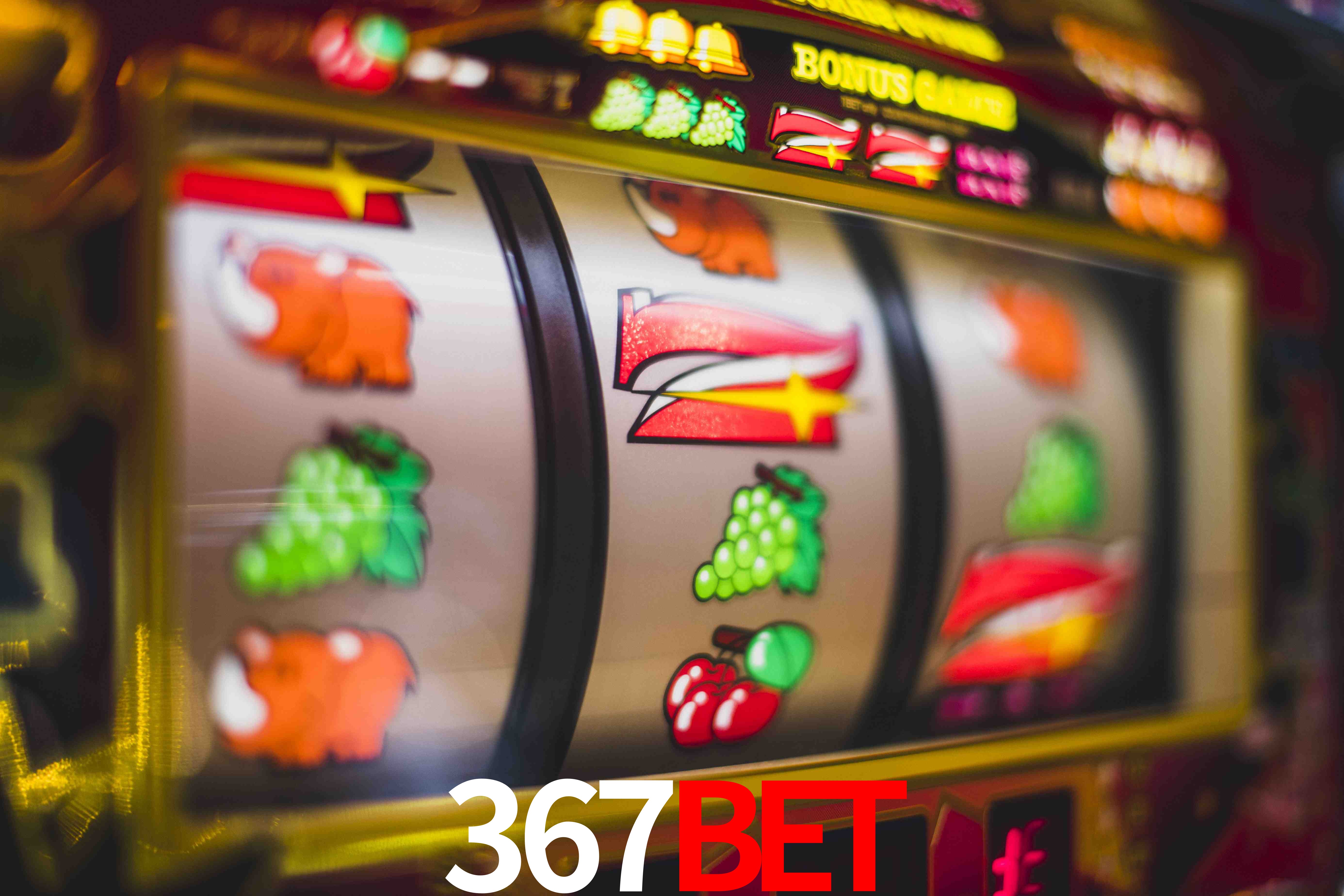 Sports Statistics 367BET